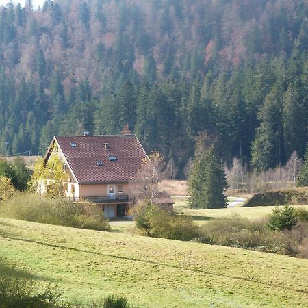 Domaine Des Hauts Viaux La Bresse Exterior foto