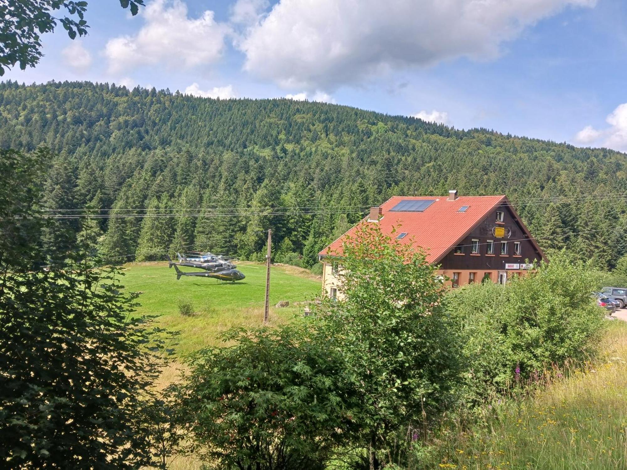 Domaine Des Hauts Viaux La Bresse Exterior foto
